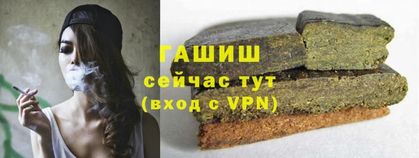 круглые Гусев