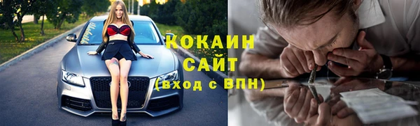 круглые Гусев