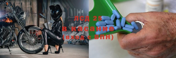 гашик Дмитриев