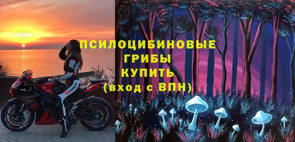 герыч Гусь-Хрустальный