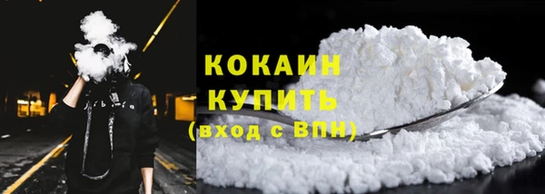 гашик Дмитриев