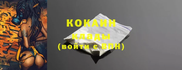 круглые Гусев