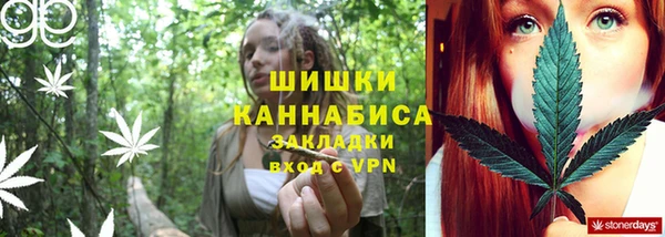 гашик Дмитриев