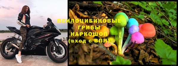 спиды Дмитровск